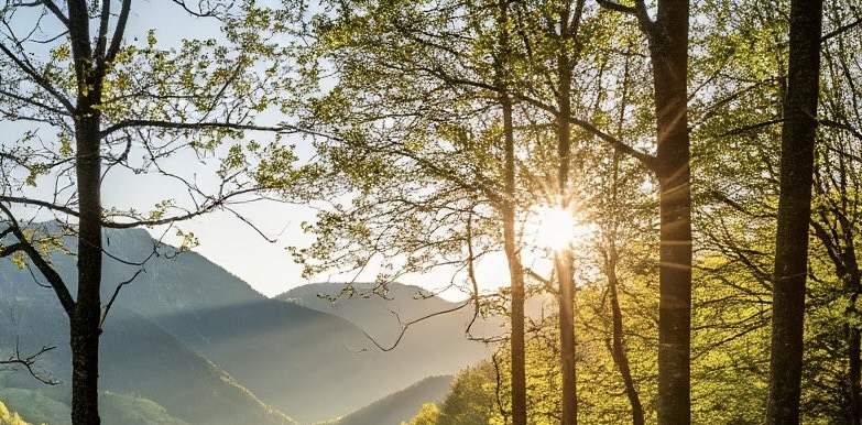 ОДЕЖДА ДЛЯ АКТИВНОГО ОТДЫХА